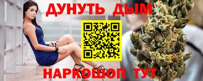 сатива Аша