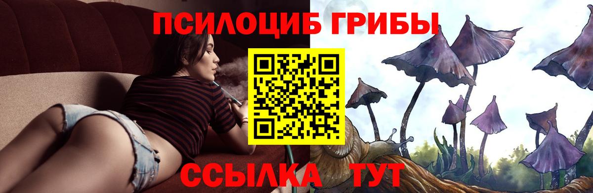 Галлюциногенные грибы Psilocybe  Вход с VPN  Махачкала 